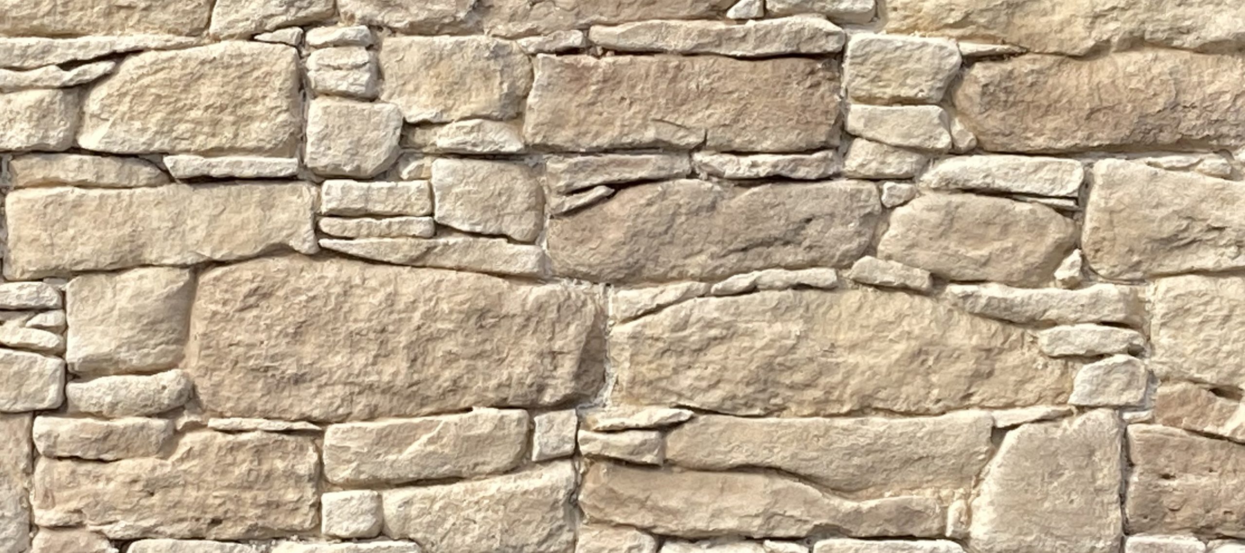 TERTUS beige nuance 1 scaled 1